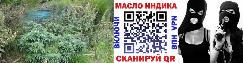 что такое   Оса  Дистиллят ТГК гашишное масло 