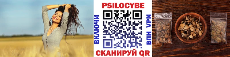 kraken ссылки  Оса  Галлюциногенные грибы прущие грибы  купить закладку 